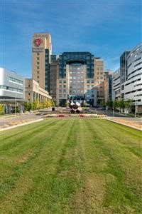 &quot;Drug Rehab Centers in Arlington Texas